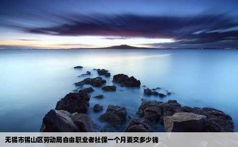无锡市锡山区劳动局自由职业者社保一个月要交多少钱