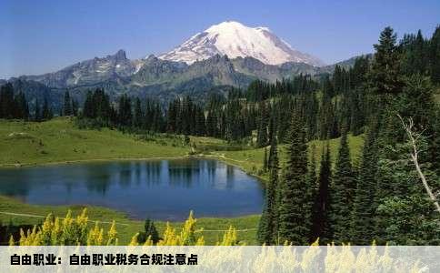 自由职业：自由职业税务合规注意点