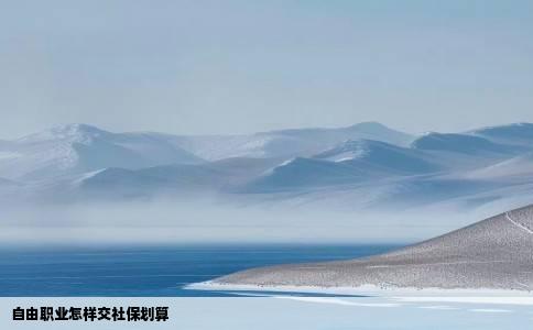 自由职业怎样交社保划算