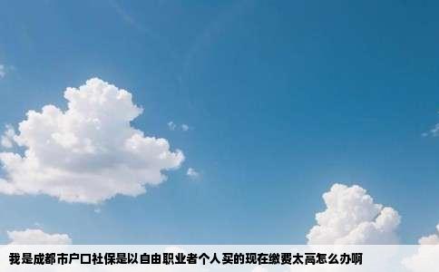 我是成都市户口社保是以自由职业者个人买的现在缴费太高怎么办啊