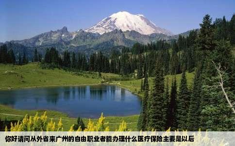 你好请问从外省来广州的自由职业者能办理什么医疗保险主要是以后