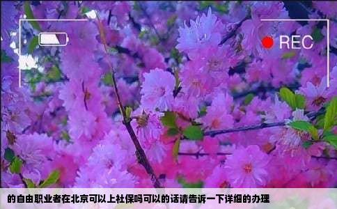 的自由职业者在北京可以上社保吗可以的话请告诉一下详细的办理