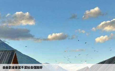 自由职业者买不买社会保险好