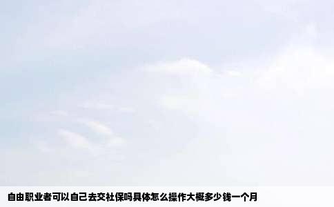 自由职业者可以自己去交社保吗具体怎么操作大概多少钱一个月