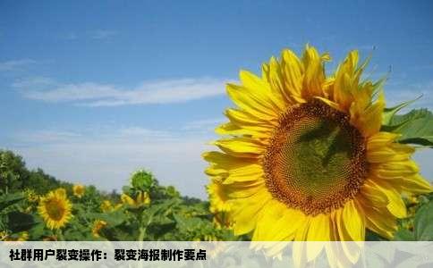 社群用户裂变操作：裂变海报制作要点
