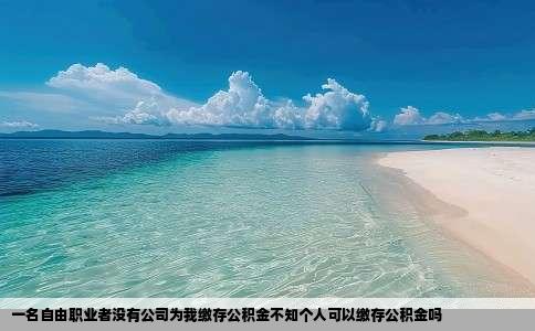 一名自由职业者没有公司为我缴存公积金不知个人可以缴存公积金吗