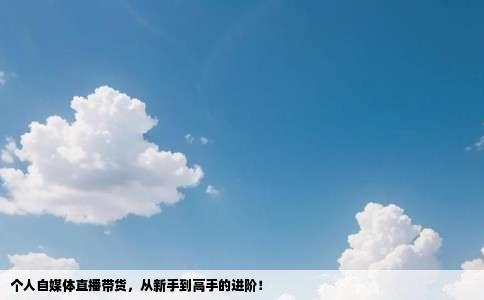 个人自媒体直播带货，从新手到高手的进阶！