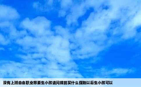 没有上班自由职业想要生小孩请问提前买什么保险以后生小孩可以