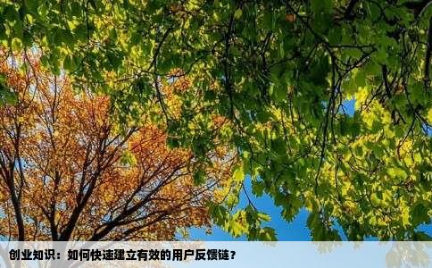 创业知识：如何快速建立有效的用户反馈链？