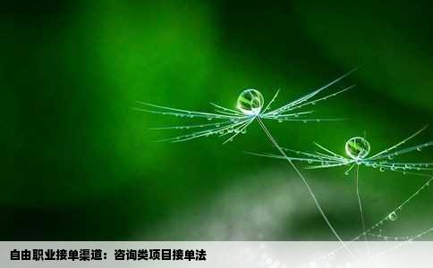 自由职业接单渠道：咨询类项目接单法