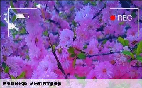 创业知识分享：从0到1的实战步骤