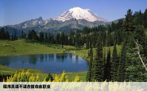 程序员适不适合做自由职业
