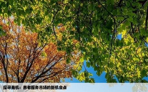 探寻商机：养老服务市场的新机会点