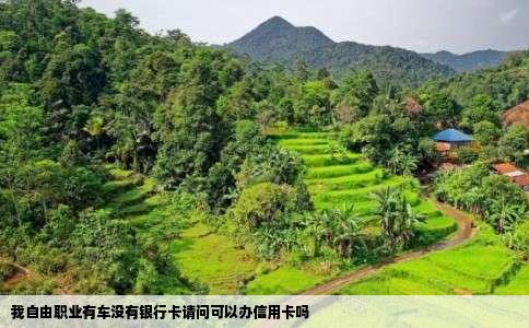 我自由职业有车没有银行卡请问可以办信用卡吗