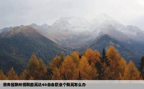 劳务报酬所得税能高达40自由职业个税高怎么办