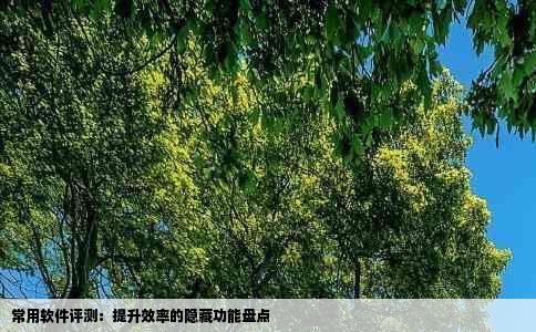 常用软件评测：提升效率的隐藏功能盘点