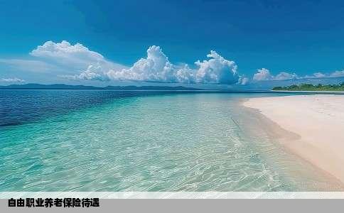 自由职业养老保险待遇