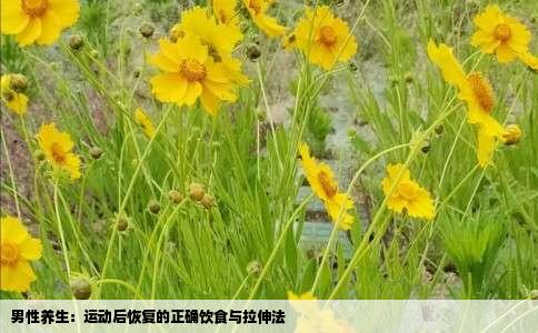 男性养生：运动后恢复的正确饮食与拉伸法