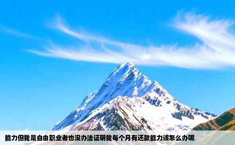 能力但我是自由职业者也没办法证明我每个月有还款能力该怎么办呢