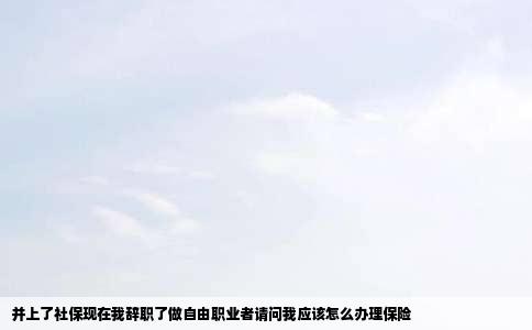 并上了社保现在我辞职了做自由职业者请问我应该怎么办理保险