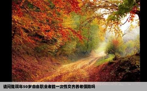 请问我现年50岁自由职业者能一次性交齐养老保险吗