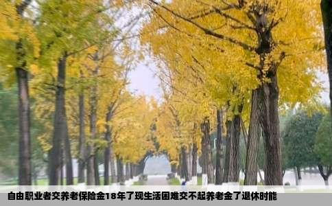自由职业者交养老保险金18年了现生活困难交不起养老金了退休时能