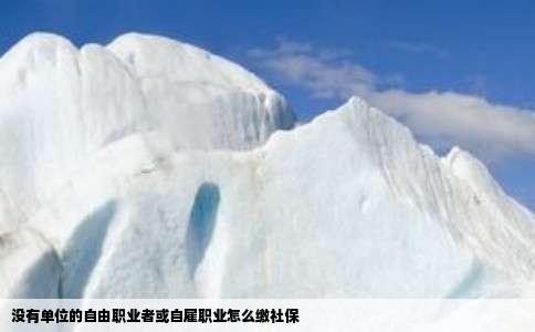 没有单位的自由职业者或自雇职业怎么缴社保