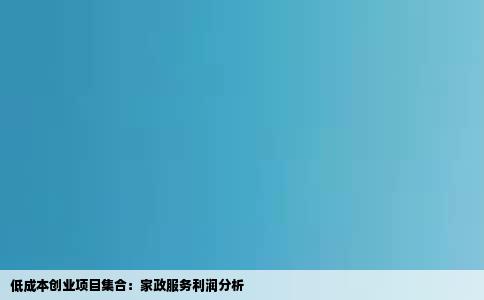 低成本创业项目集合：家政服务利润分析