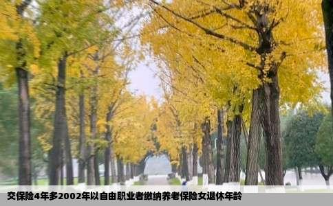 交保险4年多2002年以自由职业者缴纳养老保险女退休年龄