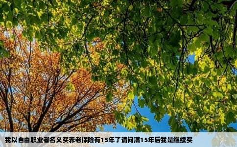 我以自由职业者名义买养老保险有15年了请问满15年后我是继续买