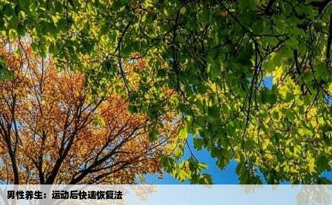 男性养生：运动后快速恢复法