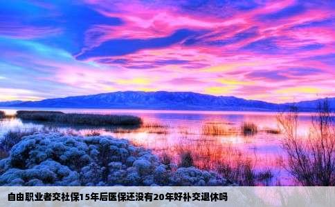 自由职业者交社保15年后医保还没有20年好补交退休吗