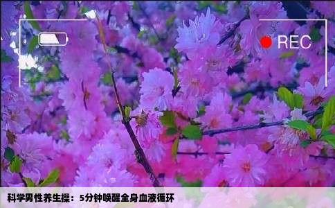 科学男性养生操：5分钟唤醒全身血液循环