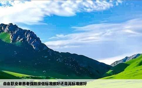 自由职业者养老保险按低标准缴好还是高标准缴好
