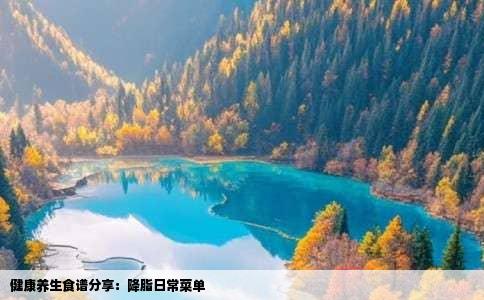 健康养生食谱分享：降脂日常菜单