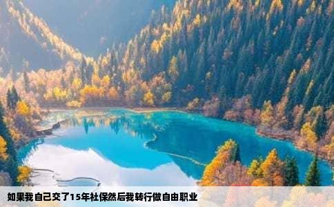 如果我自己交了15年社保然后我转行做自由职业