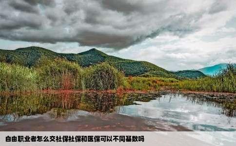 自由职业者怎么交社保社保和医保可以不同基数吗