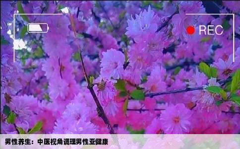 男性养生：中医视角调理男性亚健康