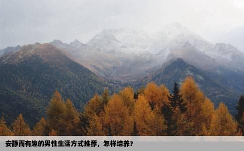 安静而有趣的男性生活方式推荐，怎样培养？