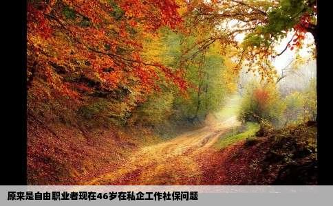 原来是自由职业者现在46岁在私企工作社保问题