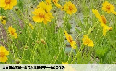 自由职业者是什么可以做很多不一样的工作吗