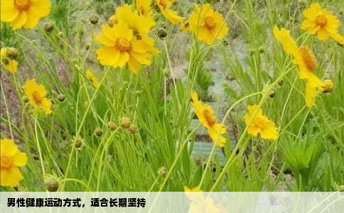 男性健康运动方式，适合长期坚持