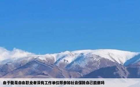 由于我是自由职业者没有工作单位想参加社会保险自己能缴吗