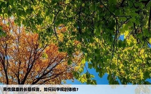 男性健康的长期投资，如何科学规划体检？