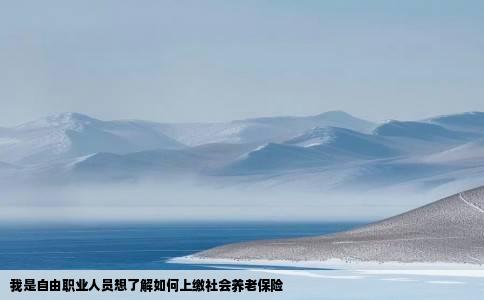 我是自由职业人员想了解如何上缴社会养老保险