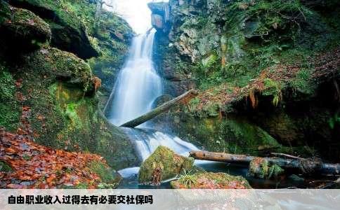 自由职业收入过得去有必要交社保吗