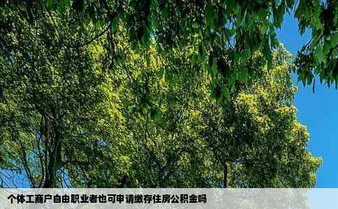 个体工商户自由职业者也可申请缴存住房公积金吗