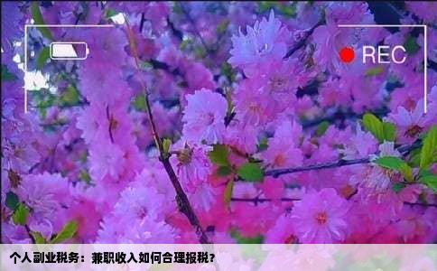 个人副业税务：兼职收入如何合理报税？