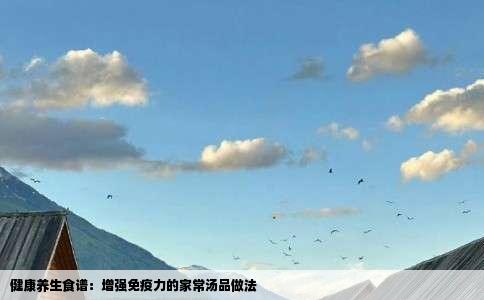 健康养生食谱：增强免疫力的家常汤品做法