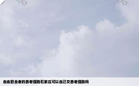 自由职业者的养老保险石家庄可以自己交养老保险吗
